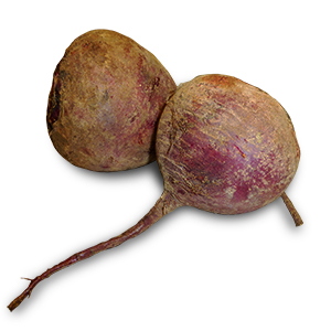 Red Beet