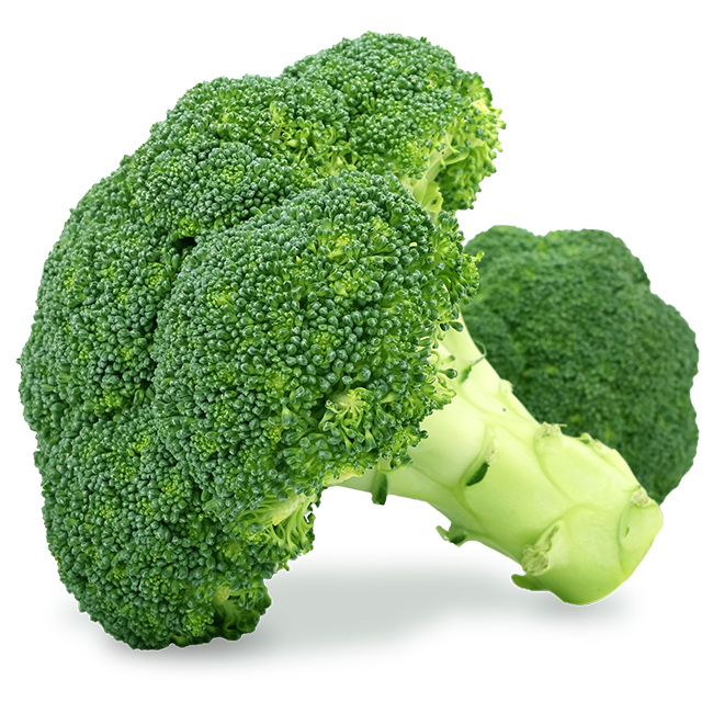 Broccoli_Stem
