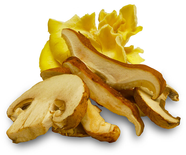 Mixed Mushrooms